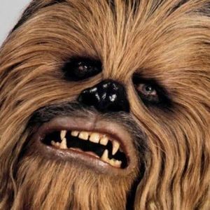 Meet your Posher, Rob